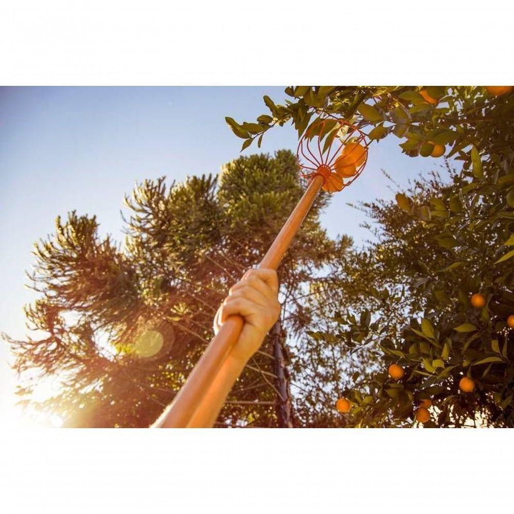 Colhedor De Frutas Grande Em Aço Sem Cabo Tramontina - 3