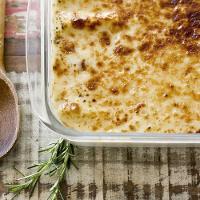 Assadeira Lasanheira Retangular 5,0 L Nadir Figueiredo