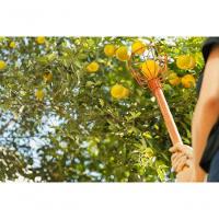 Colhedor De Frutas Médio Em Aço Sem Cabo Tramontina - 6