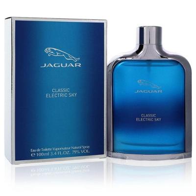 Perfume Masculino Jaguar 100 Ml Eau De Toilette Spray