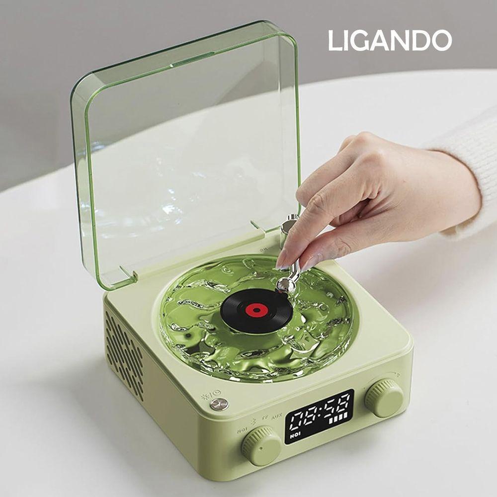 Caixa De Som Toca Disco Vinil Vitrola Bluetooth Cartao Tf Usb Recarregavel Luminaria Musical Rgb Led Iluminaçao - 5