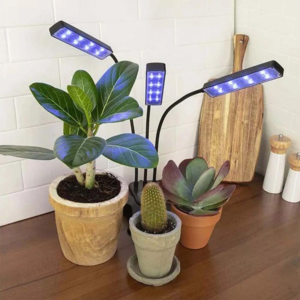 Lampada De Cultivo Planta Luminaria Led Luz Uv Ultravioleta Temporizador Plantaçao Horta Terrario Crescimento Estufa - 2