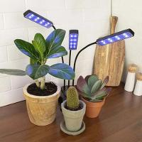 Lampada De Cultivo Planta Luminaria Led Luz Uv Ultravioleta Temporizador Plantaçao Horta Terrario Crescimento Estufa - 2
