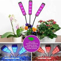 Lampada De Cultivo Planta Luminaria Led Luz Uv Ultravioleta Temporizador Plantaçao Horta Terrario Crescimento Estufa - 5