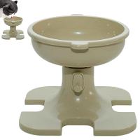 Tijela De Raçao Elevado Gato Pet Cachorro Cao Comedouro Ergonomico Ajustavel Antiderrapante Petshop Casa Comida Agua - 5