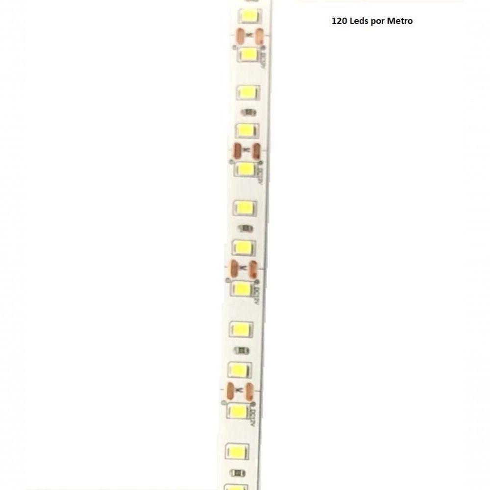 Fita De Led 6500k 120 Leds Branco Frio Ip20 5 Mts 12v 48w - 3