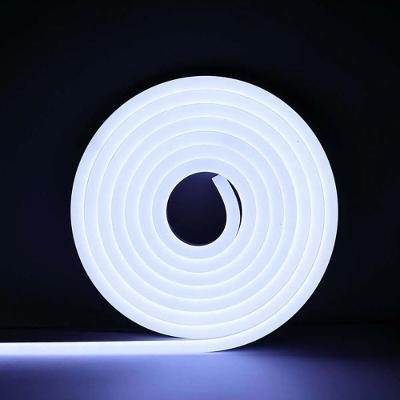 Fita Led Mangueira Neon 5 Mts Iluminação Flexível Corte 2.5 Cm - Branco Frio