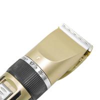 Kit Pet Maquina Recarregavel Tosa De Cães E Gatos