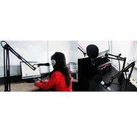 Suporte Pedestal De Microfone Mesa Podcast Transmissao Gravaçao Articulavel Multiuso Resistente Versatil - 9