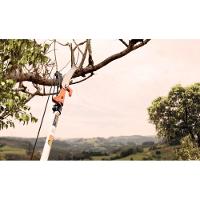 Lâmina Para Serrote De Poda 13 - 330 Mm Tramontina Em Aço Carbono Tramontina