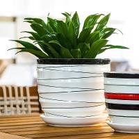 Jg 3pç Cachepô Cerâmica Xcm Branco - 3