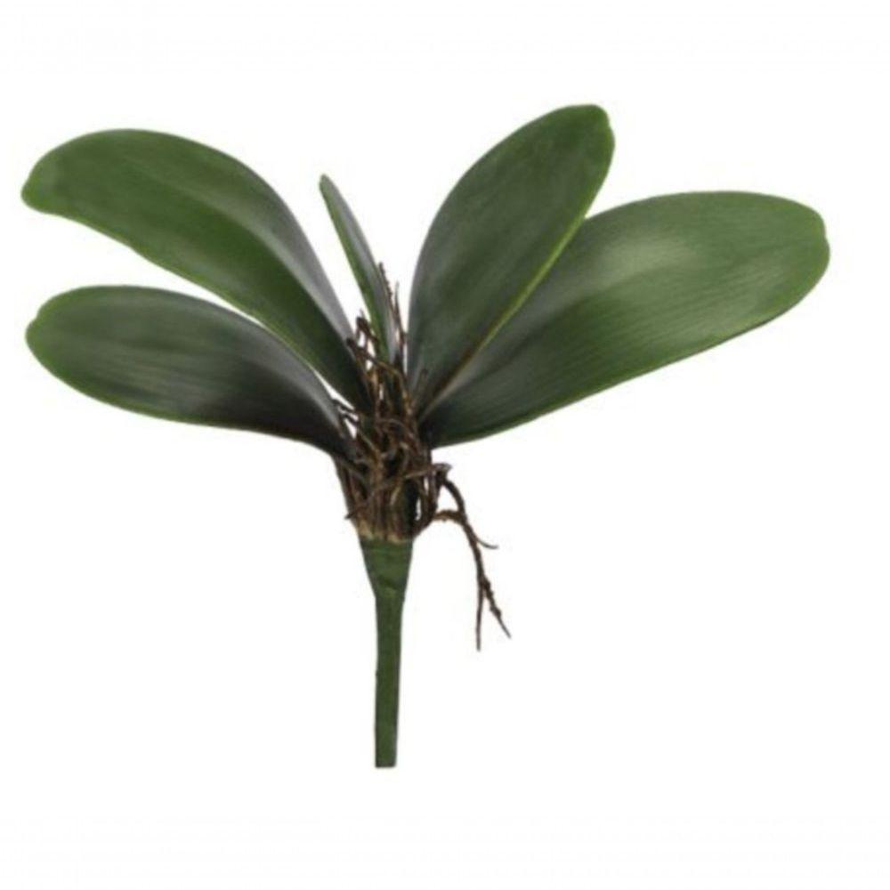 Folha Orquidea C-arame Phalaenopsis C-powder X5 Verde 22cm - 1