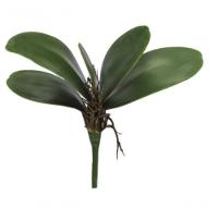 Folha Orquidea C-arame Phalaenopsis C-powder X5 Verde 22cm - 1
