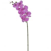 Haste Flor Orquídea Phalaenopsis Real Toque C-coat X7 73cm - 1