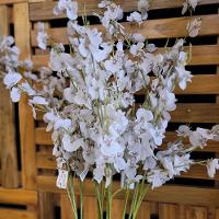 Haste Flor Orquídea Chuva De Ouro Artificial Branca 50cm - Mc Flores - 2