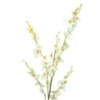 Haste Flor Orquídea Chuva De Ouro Artificial Branca 50cm - Mc Flores