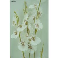 Haste Flor Orquídea Chuva De Ouro Artificial Branca 50cm - Mc Flores - 6
