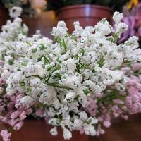 Buquê Flor Mosquitinho Verde E Branco 30cm - Mc Flores - 2