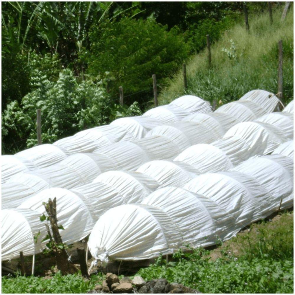 Plástico Filme Leitoso Para Túnel 2,00 X 500 70 Kg 75 Micras - 2