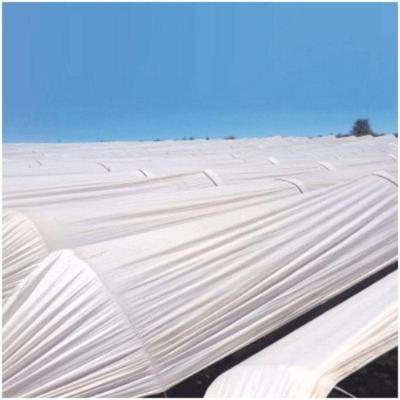 Plástico Filme Leitoso Para Túnel 2,00 X 500 70 Kg 75 Micras