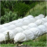 Plástico Filme Leitoso Para Túnel 2,00 X 500 70 Kg 75 Micras - 2