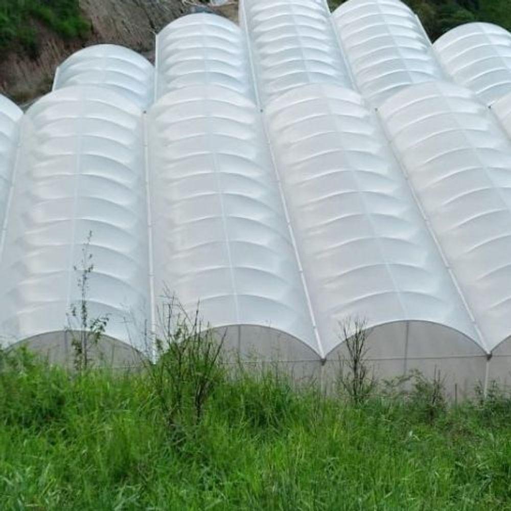 Lona Estufa Filme Difusor 4x100m 150 Micras Uv Dl - 2