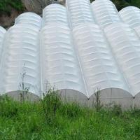 Lona Para Estufa Filme Difusor 10x30m 150 Micras Uv Dl - 6