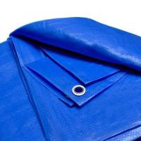 Lona Polietileno 6x4 M Com Cantos Reforçados Azul Famastil - 2