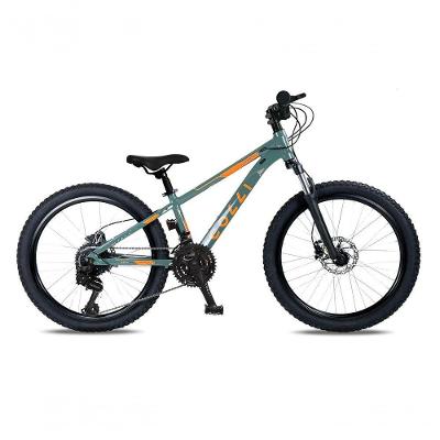 Bicicleta Colli Napoli Sport Aro 24 Verde Militar