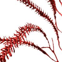 Galho Decorativo Natal Pinheiro Glitter Vermelho Luxo 43cm - Bela Flor - 6