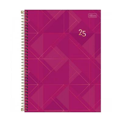 Agenda Executiva Espiral Diária 20 X 27,5cm Spot Feminina 2025 Roxa