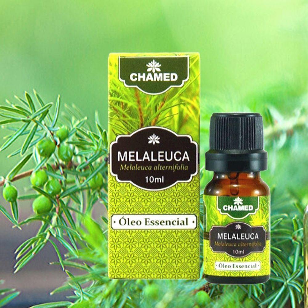 Óleo Essencial De Melaleuca Tea Tree 10ml Chamed - 3