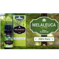 Óleo Essencial De Melaleuca Tea Tree 10ml Chamed - 2