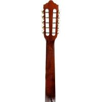 Viola Giannini Vs14eq Eletroacústica Natural - 7