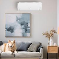 Ar Condicionado Split LG Voice 9000 BTUs Frio 220V - 2