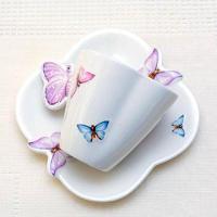 Xícara De Café Em Porcelana Com Pires Borboletas 100ml Wolff - 7