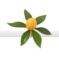 Kit Mesa Posta Copa E Cia 2 Lugares Siciliano - 4