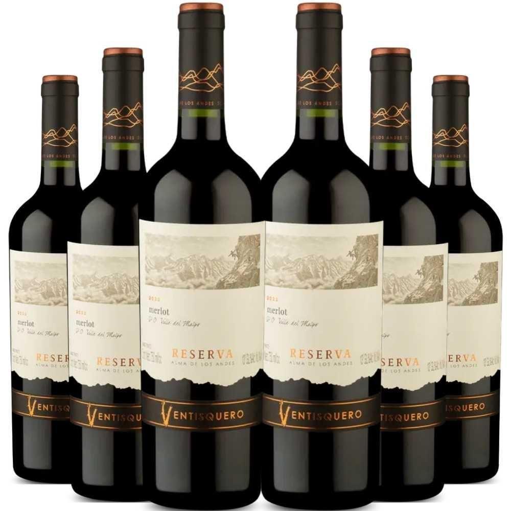 Kit 6 Garrafas Vinho Tinto Ventisquero Reserva Merlot 750ml - 1