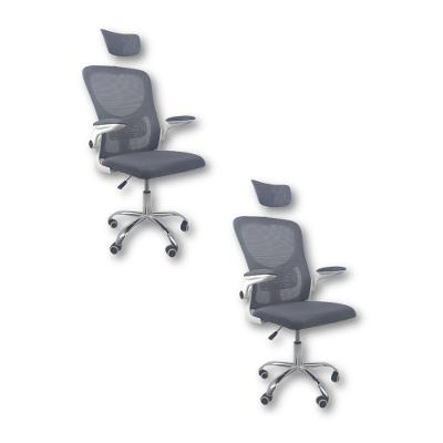 Kit Com 2 Cadeiras De Escritório Diretor Oficial Vegas Com Apoio + Ebook Cinza E Branco 2