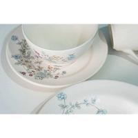 Aparelho De Jantar 20 Peças Harmonia Schmidt - 6