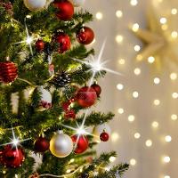 Cordão Luminoso Pisca Pisca Led Flash 100 Leds 3000k+6500k Branco Taschibra 110v - 2