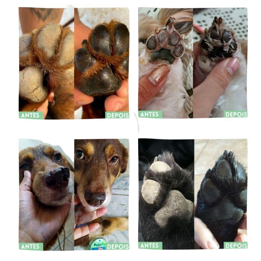 Patafix Balsamo Hidratante Pet 40 G Para Patas E Focinhos - 6