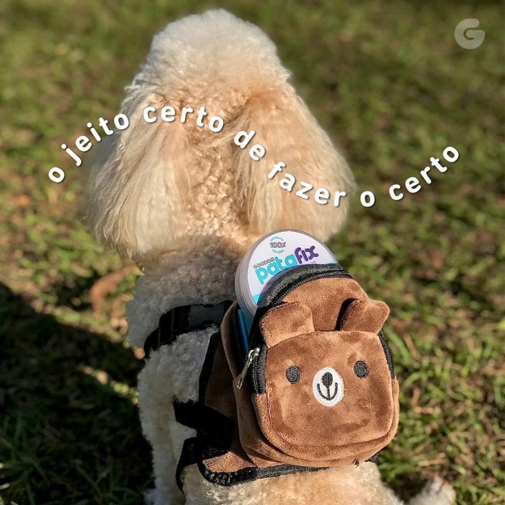 Patafix Balsamo Hidratante Pet 40 G Para Patas E Focinhos - 9