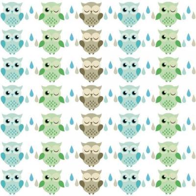 Papel De Parede Infantil Corujas