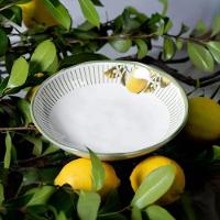 Aparelho De Jantar 30 Peças Bio Lemon Porto Brasil - 10