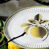 Jogo De Pratos 18 Peças Bio Lemon Porto Brasil - 6