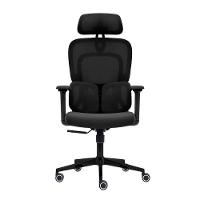 Cadeira Presidente Ergonômica Executiva Mesh Preta Braços 4d Preto - 2