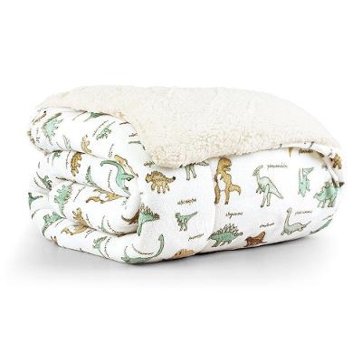 Coberdrom Solteiro Tutti Kids Manta Alta 150 G/m² Dupla Face Flannel E Sherpa 01 Peça 100% Poliéster - Dino World