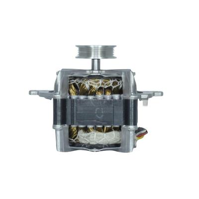 Motor Sem Carcaça Lavadora Automática Monofásico - Weg