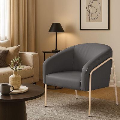 Poltrona Sala Decorativa Stella Base Alta Tubo Champanhe Sintético D03 - D'rossi Grafite